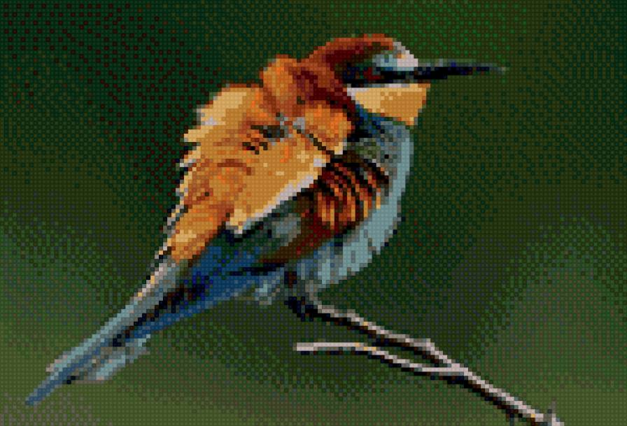 красивая птичка - животные - предпросмотр