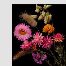 Схема вышивки «сухостой»