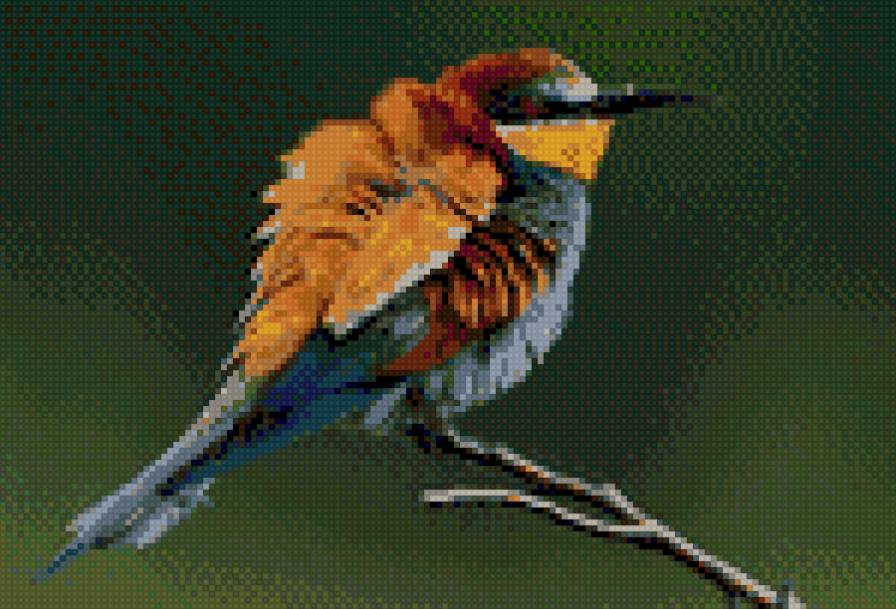 птичка - предпросмотр