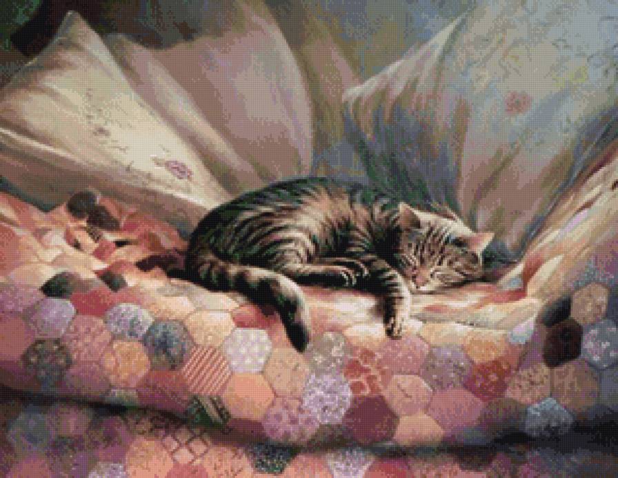 сонька - коты, кот, котики - предпросмотр