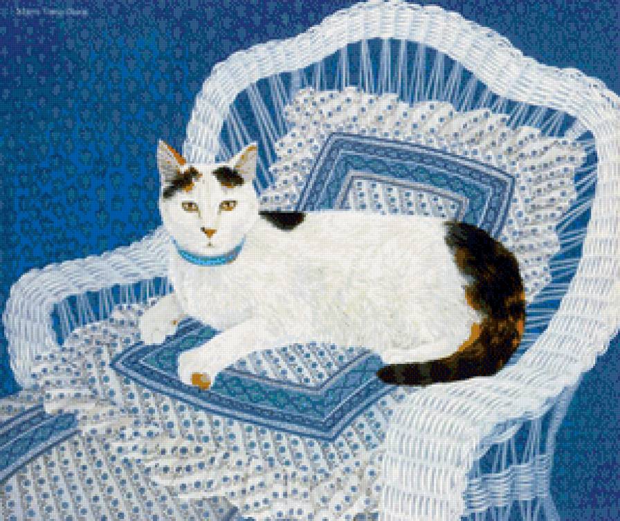 маркиза - коты, котики, кот - предпросмотр