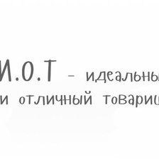 И.Д.И.О.Т.