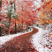 Схема вышивки «фата»