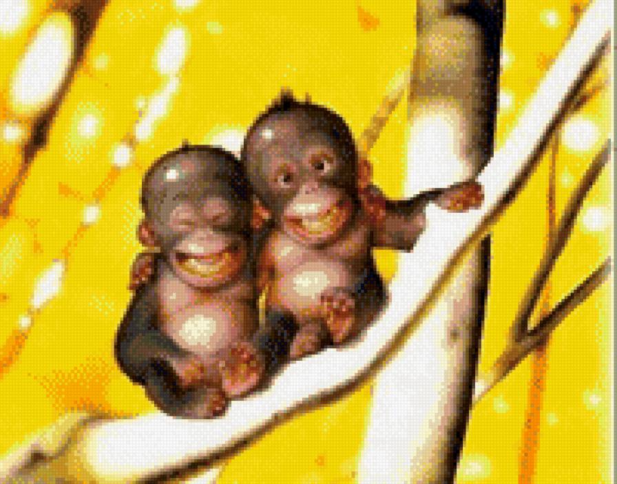 улыбочку - животные - предпросмотр