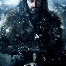 Схема вышивки «Торин Дубощит»