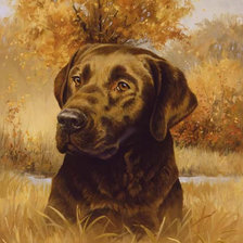 Схема вышивки «Шоколадный лабрадор и осень»