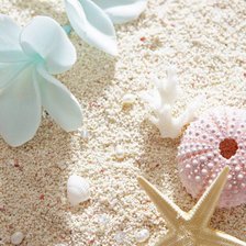 Схема вышивки «на белом песке»