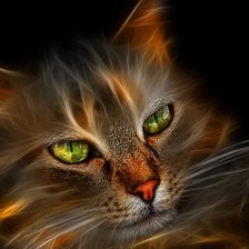 Схема вышивки «кот»