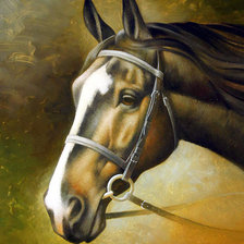 Схема вышивки «красавица лошадь»