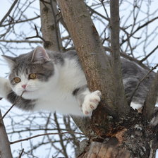 Схема вышивки «весна»