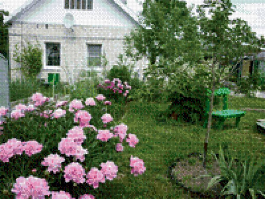 наш дворик - пионы дом - предпросмотр