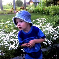 Схема вышивки «любопытный взгляд»