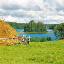 Схема вышивки «сенокос»