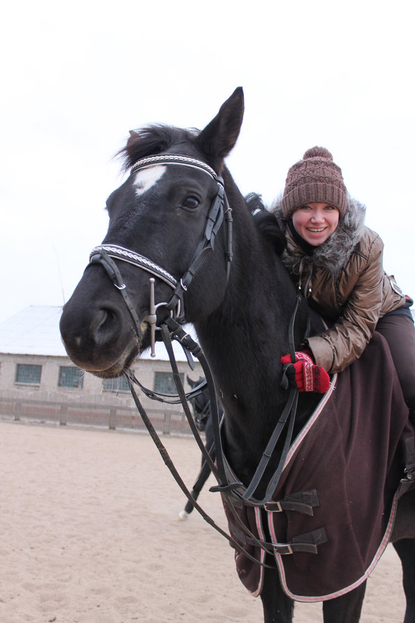 Лошадь Поэзия - лошади, вышивка, люди - оригинал