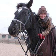 Лошадь Поэзия