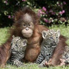 Схема вышивки «друзья»