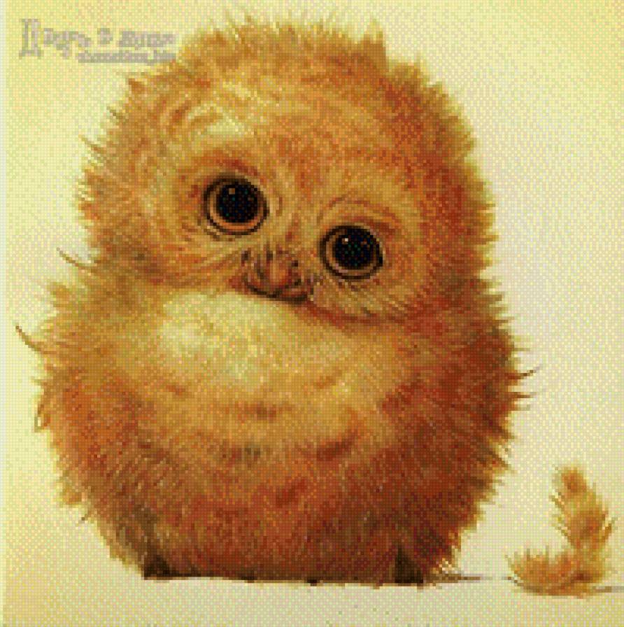 Совушка - птицы, сова - предпросмотр