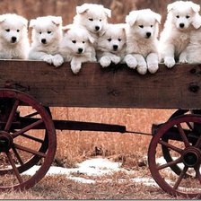 Схема вышивки «целая  тележка»