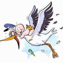 Схема вышивки «Аист»