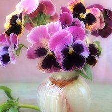 Схема вышивки «анютины глазки»