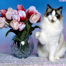 Схема вышивки «тюльпаны»