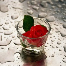 Схема вышивки «Роза»