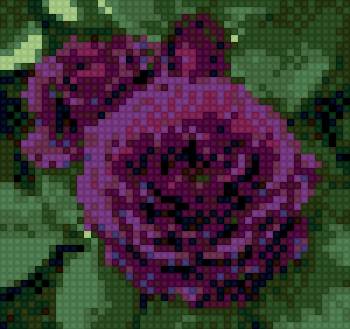 роза - предпросмотр