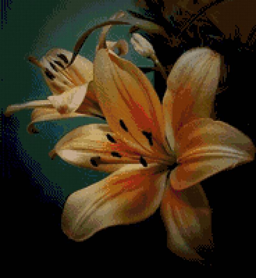 Лилии - цветы, живопись, лилии - предпросмотр