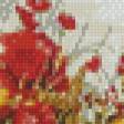 Предпросмотр схемы вышивки «маки» (№842377)