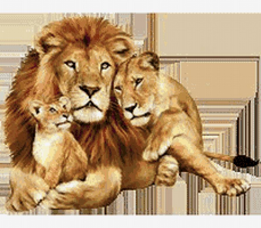 семья - львенок, лев, львица, животные - предпросмотр