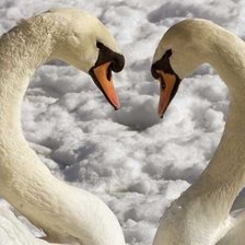 Схема вышивки «лебеди»