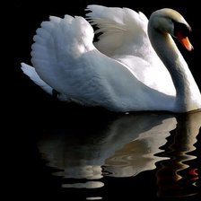 Схема вышивки «лебедь»