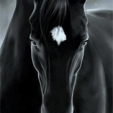 Схема вышивки «№842529»