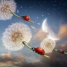 Схема вышивки «Полет»