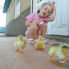 Схема вышивки «утики»