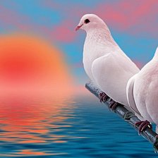 Схема вышивки «голуби на закате»