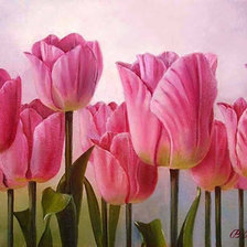 Схема вышивки «тюльпаны»