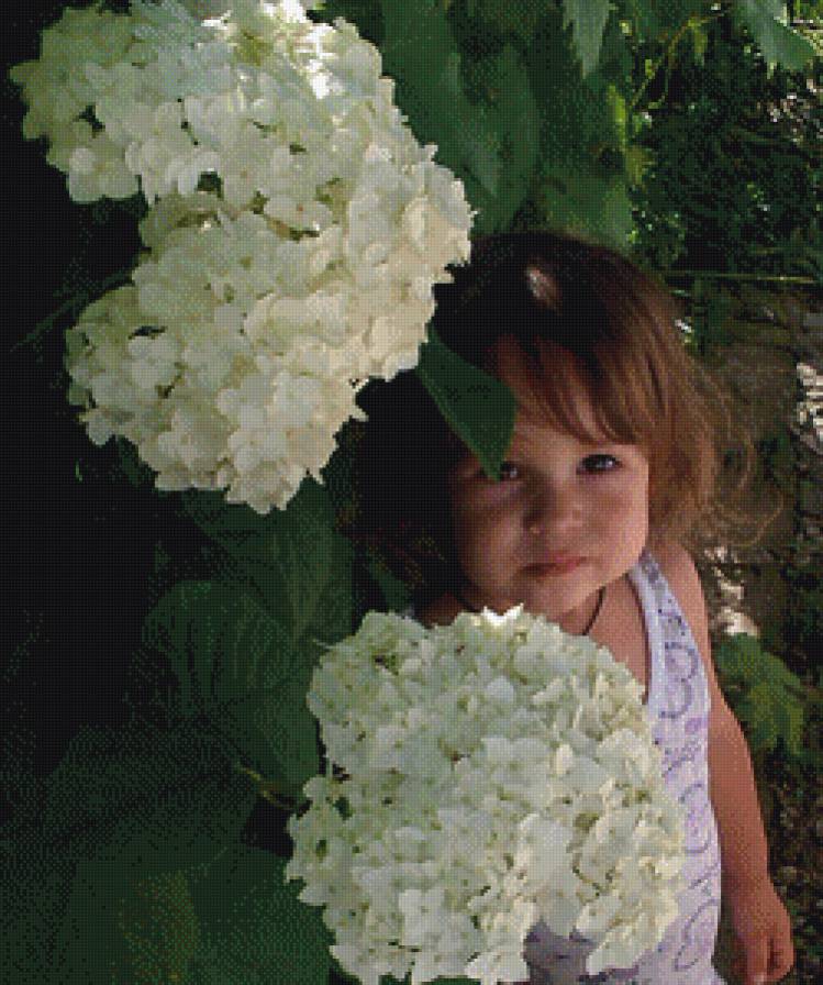 пробный - предпросмотр