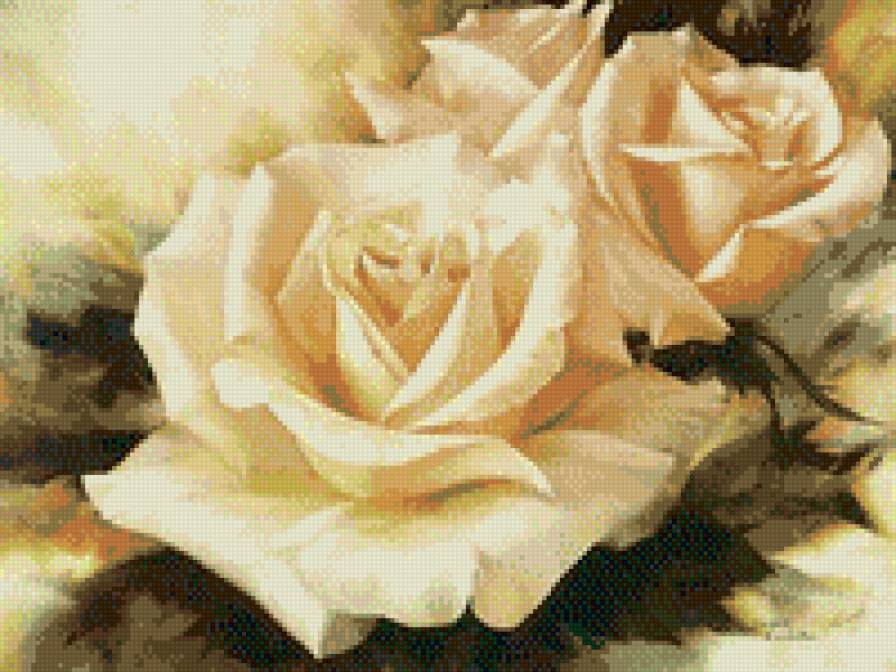 розы три светлые - предпросмотр