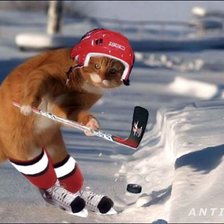 Схема вышивки «хокеист»