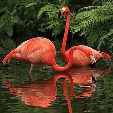 Схема вышивки «№843090»