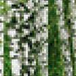 Предпросмотр схемы вышивки «березовая роща» (№843252)