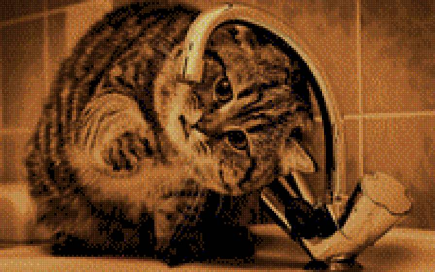 котик - сепия, котик - предпросмотр