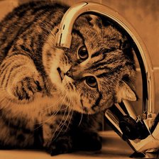 Схема вышивки «котик»