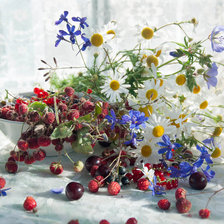 Схема вышивки «Ромашки и ягоды»