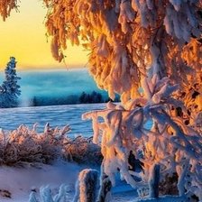 Схема вышивки «№843977»