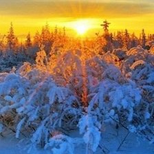 Схема вышивки «№843982»