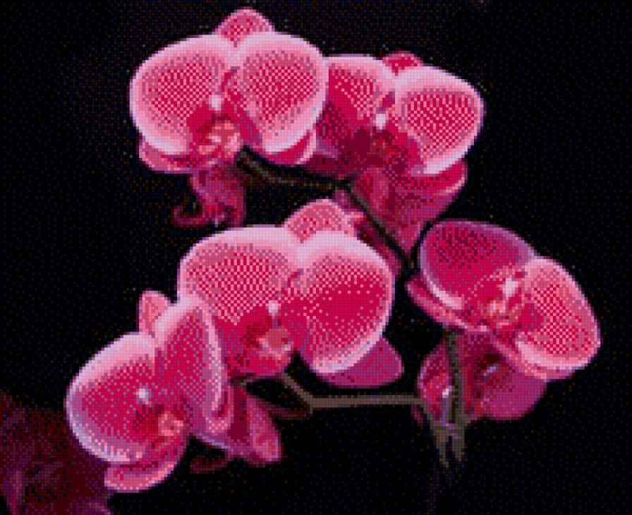 №844267 - предпросмотр