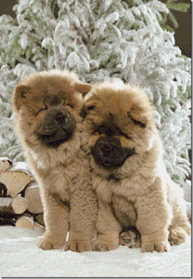 малыши - животние - предпросмотр