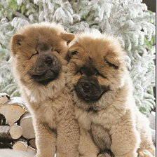 Схема вышивки «малыши»